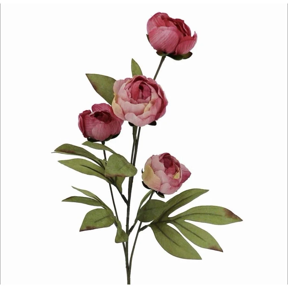 Set of 10 Viral Ashland Pink & Cream Peony Stems From Michael’s (5 Of Each) New